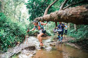 BIB: 
                            <button type="button" onclick="openModal(25375912)" class="btn btn-primary btn-sm float-right btn-popup" data-toggle="modal" data-target=".modal-high-quality">
                        <i class="fas fa-shopping-cart"></i> Add to Cart
                    </button>
                                            <button type="button" onclick="isThisMe(25375912, true)" class="btn btn-success btn-sm float-right btn-popup btn-isme hidden" data-toggle="tooltip" data-placement="bottom" title="นี่คือรูปของคุณใช่ไหม คลิกที่นี่เพื่อเอาเข้าอัลบั้ม">
                        <i class="fas fa-plus"></i> Add to album
                    </button>
                    <button type="button" onclick="isThisMe(25375912, false)" class="btn btn-warning btn-sm float-right btn-popup btn-isnotme hidden">
                        <i class="fas fa-ban"></i> Remove from album
                    </button>